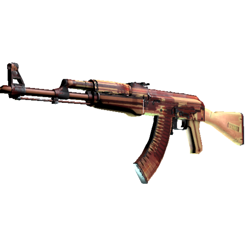 AK-47 | X Ray (Well Worn) AK-47 | X Ray (Well Worn)