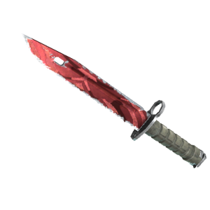 Bayonet | Slaughter (Field-Tested)