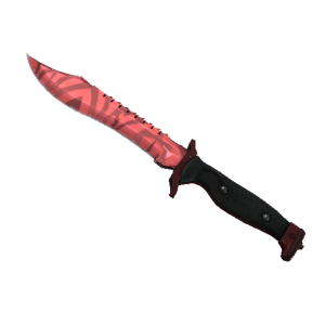 Bowie Knife | Slaughter (Minimal Wear)