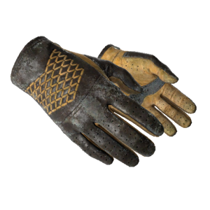 Driver Gloves | Overtake (Battle-Scarred)