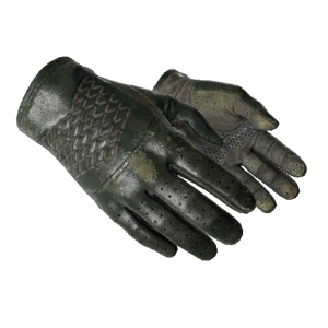 Driver Gloves | Racing Green (Field-Tested)