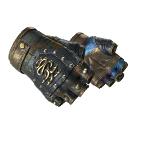 Hydra Gloves | Case Hardened (Well-Worn)