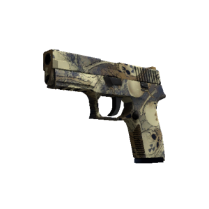 P250 | Contamination (Minimal Wear)