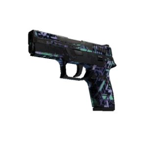 P250 | Digital Architect