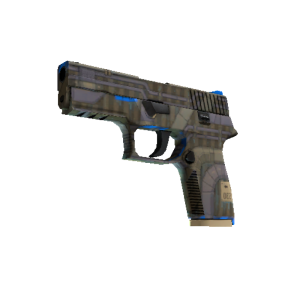 P250 | Exchange (Minimal Wear)