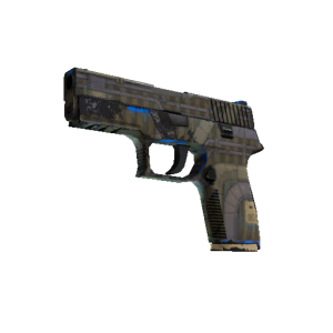 P250 | Exchanger (Field-Tested)