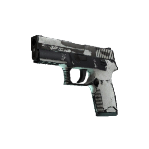 P250 | Whiteout (Battle-Scarred)