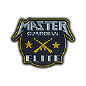Patch | Metal Master Guardian Elite