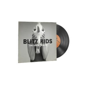StatTrak™ Music Kit | Blitz Kids