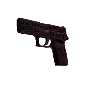 StatTrak™ P250 | Contaminant (Minimal Wear)
