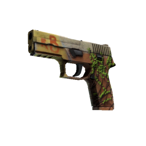 StatTrak™ P250 | Inferno (Factory New)