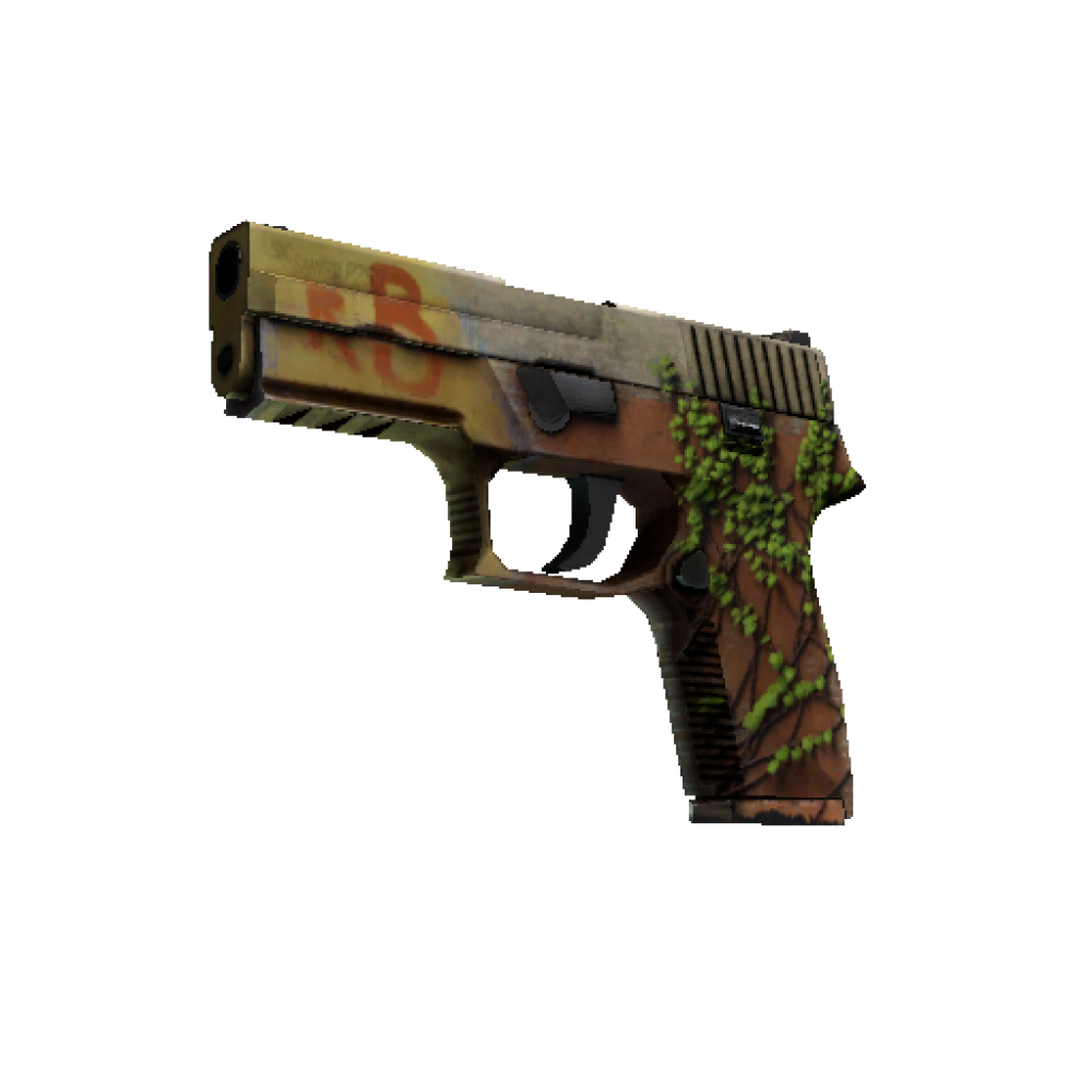 StatTrak™ P250 | Inferno (Well-Worn) StatTrak™ P250 | Inferno (Well-Worn)