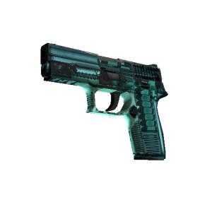StatTrak™ P250 | X Ray (Field Tested)