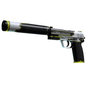 StatTrak™ USP-S | Torque (Minimal Wear)