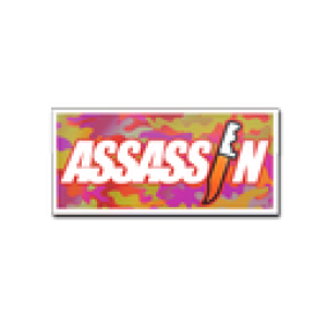 Sticker | Assassin (Holo)