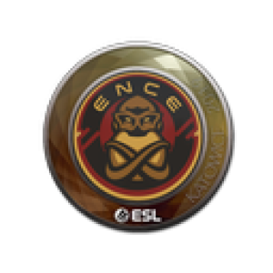 Sticker | ENCE | Katowice 2019