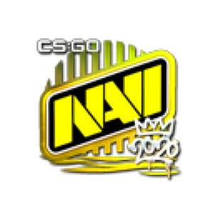Sticker | Natus Vincere (Foil) | 2020 RM