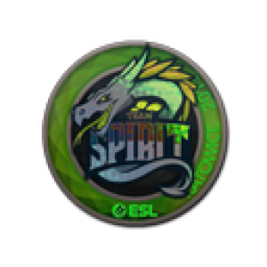 Sticker | Team Spirit (Holo) | Katowice 2019