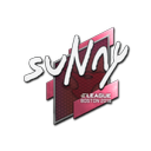 Sticker | suNny | Boston 2018