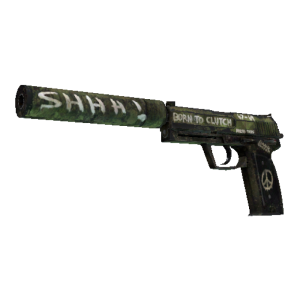 USP-S | Flashback (Field-Tested)