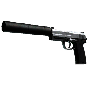 USP-S | Stainless (Battle-Scarred)